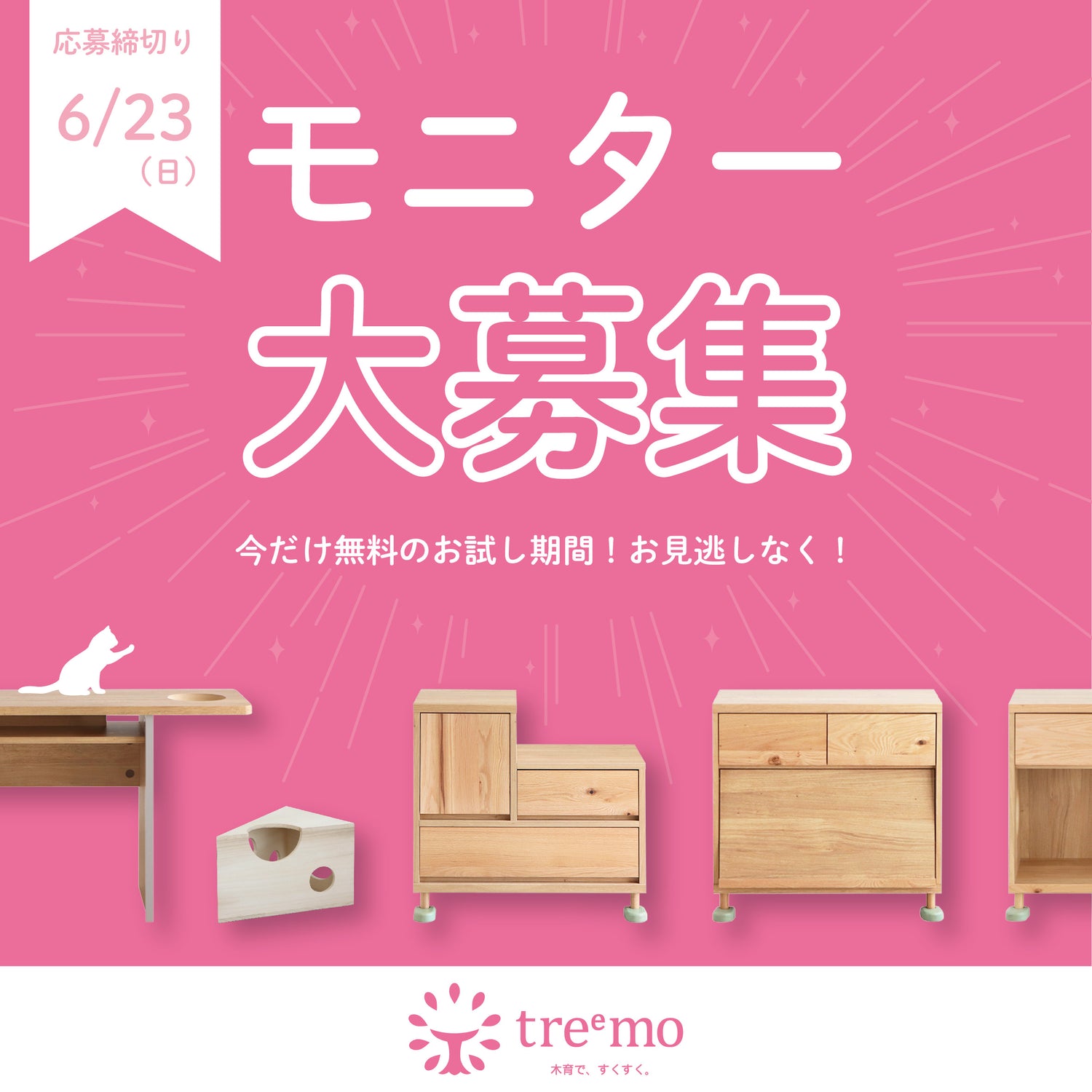 treemoモニター募集中!