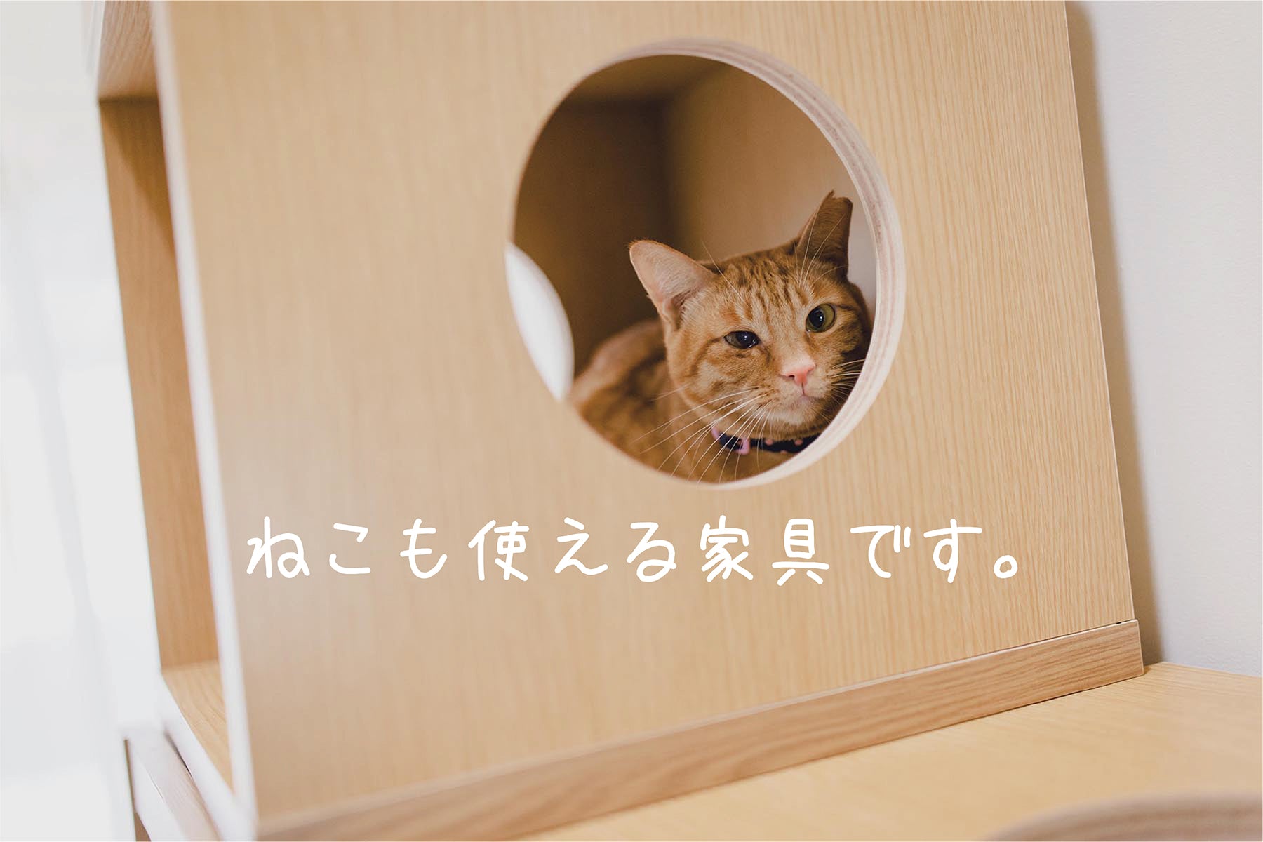 にゃんと一緒 デスク