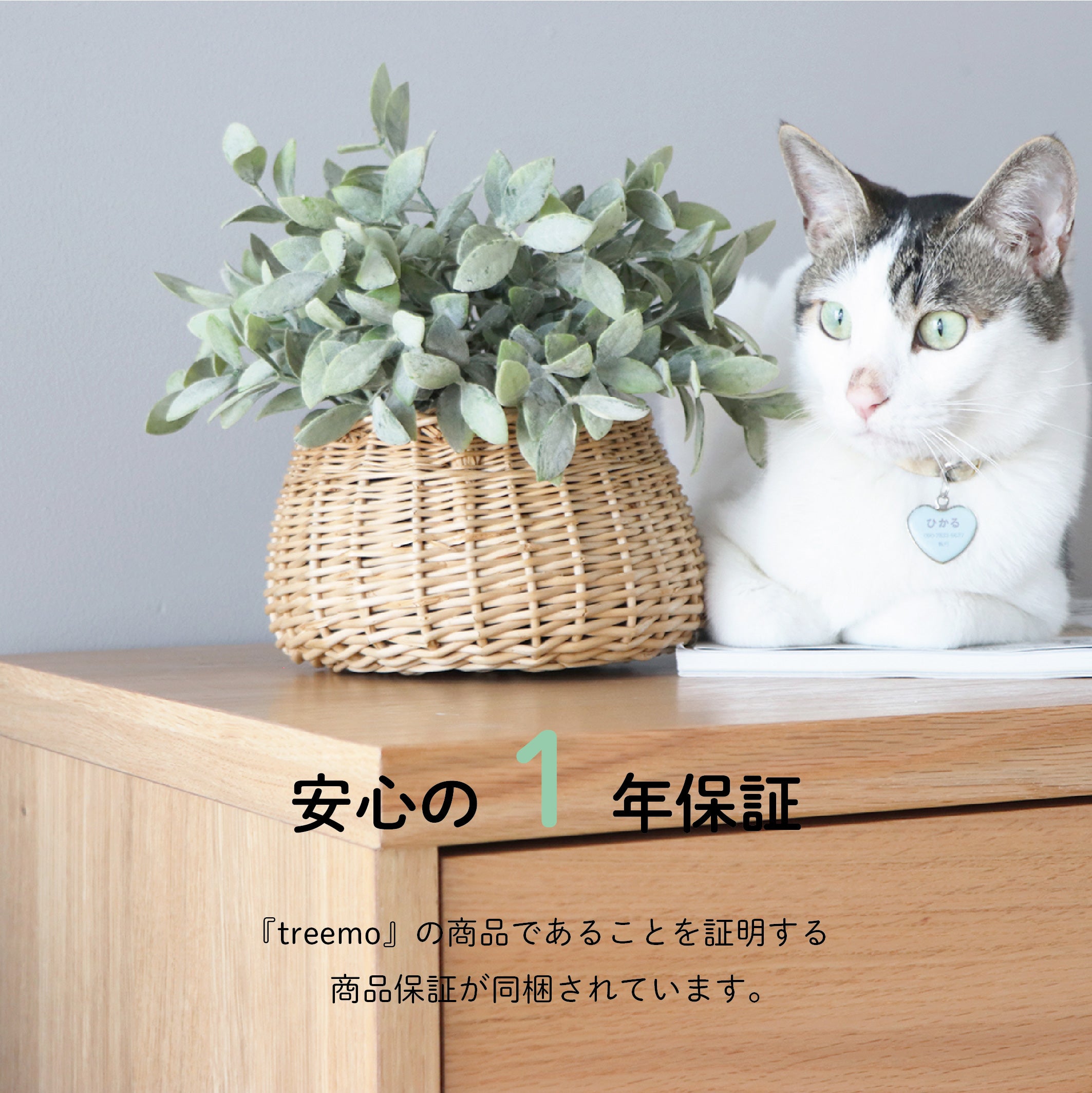 まるみえ チェスト