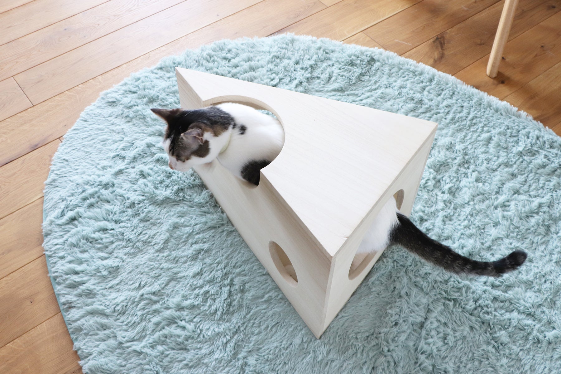 たべられないチーズ