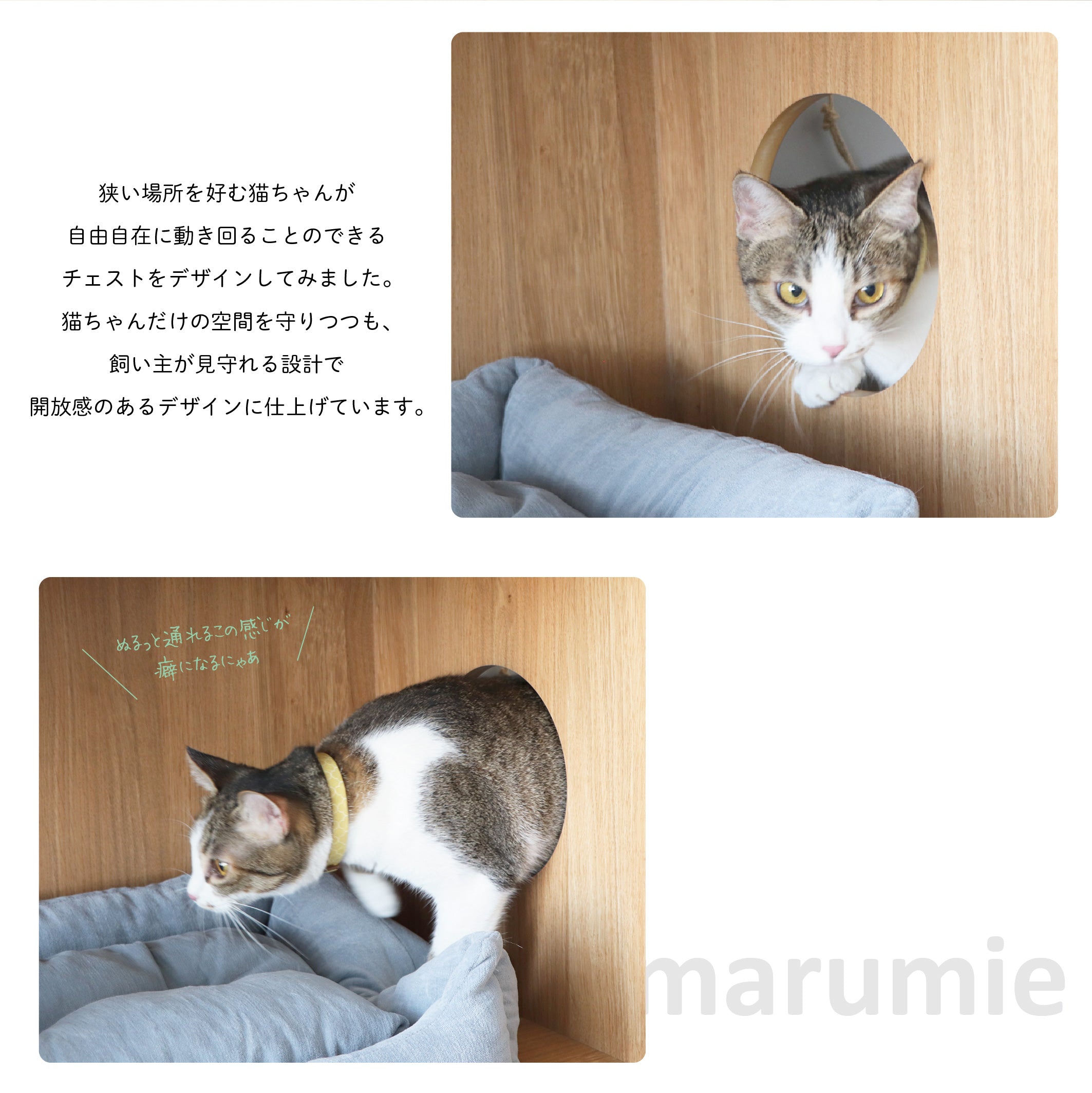 まるみえ チェスト