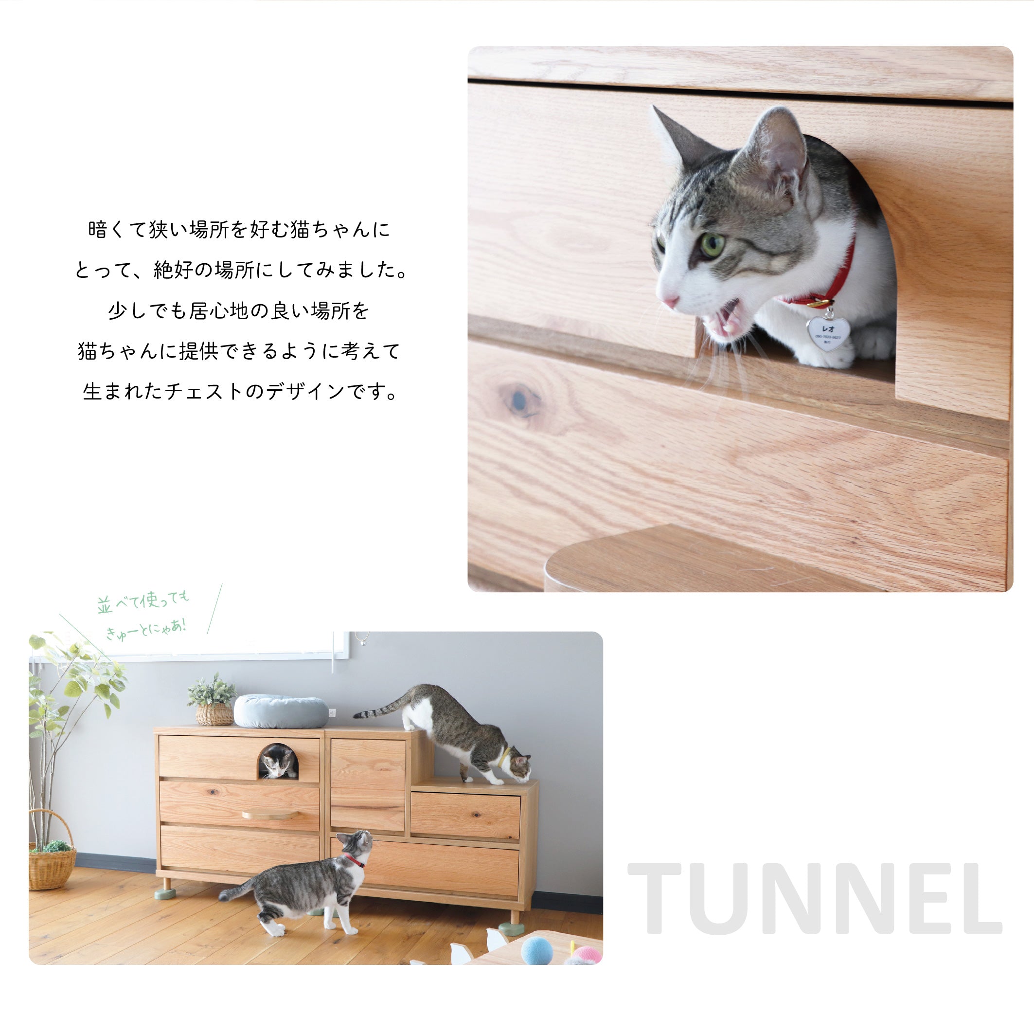 トンネル チェスト