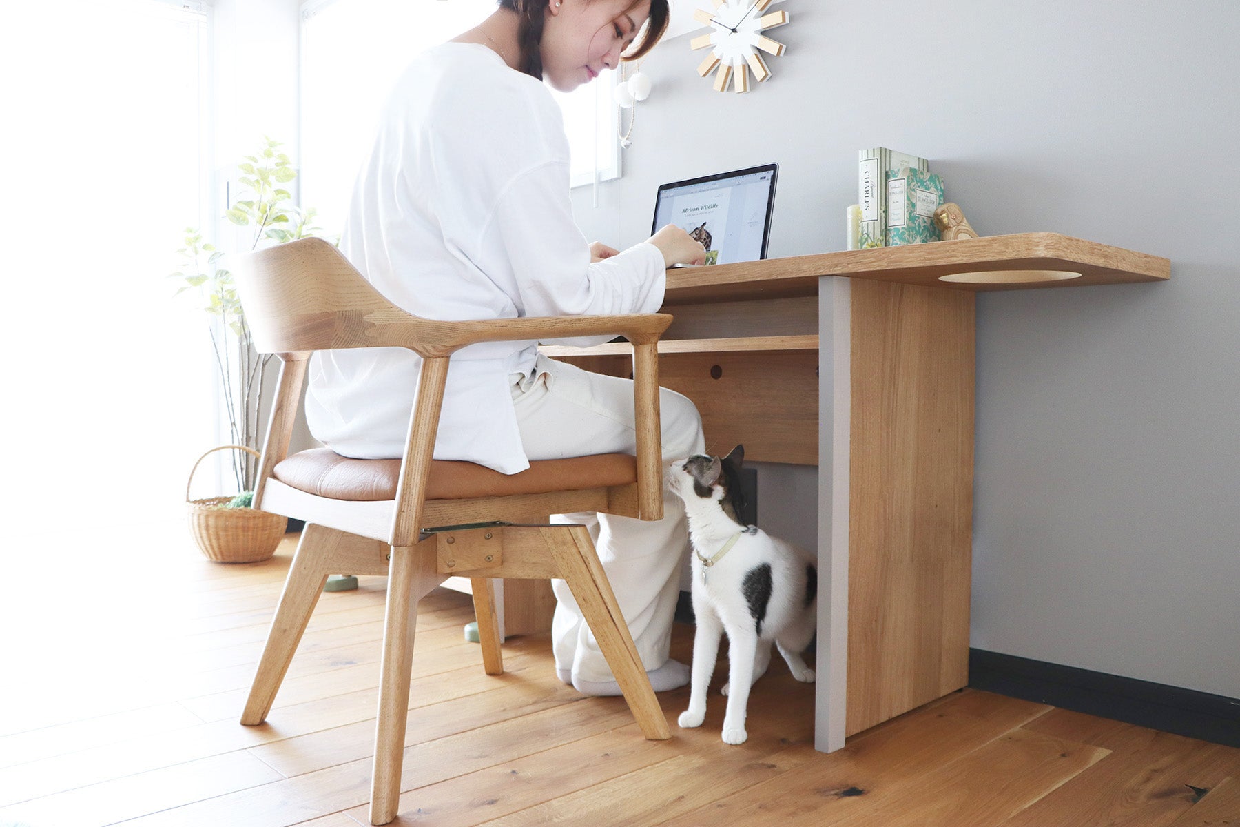 にゃんと一緒 デスク