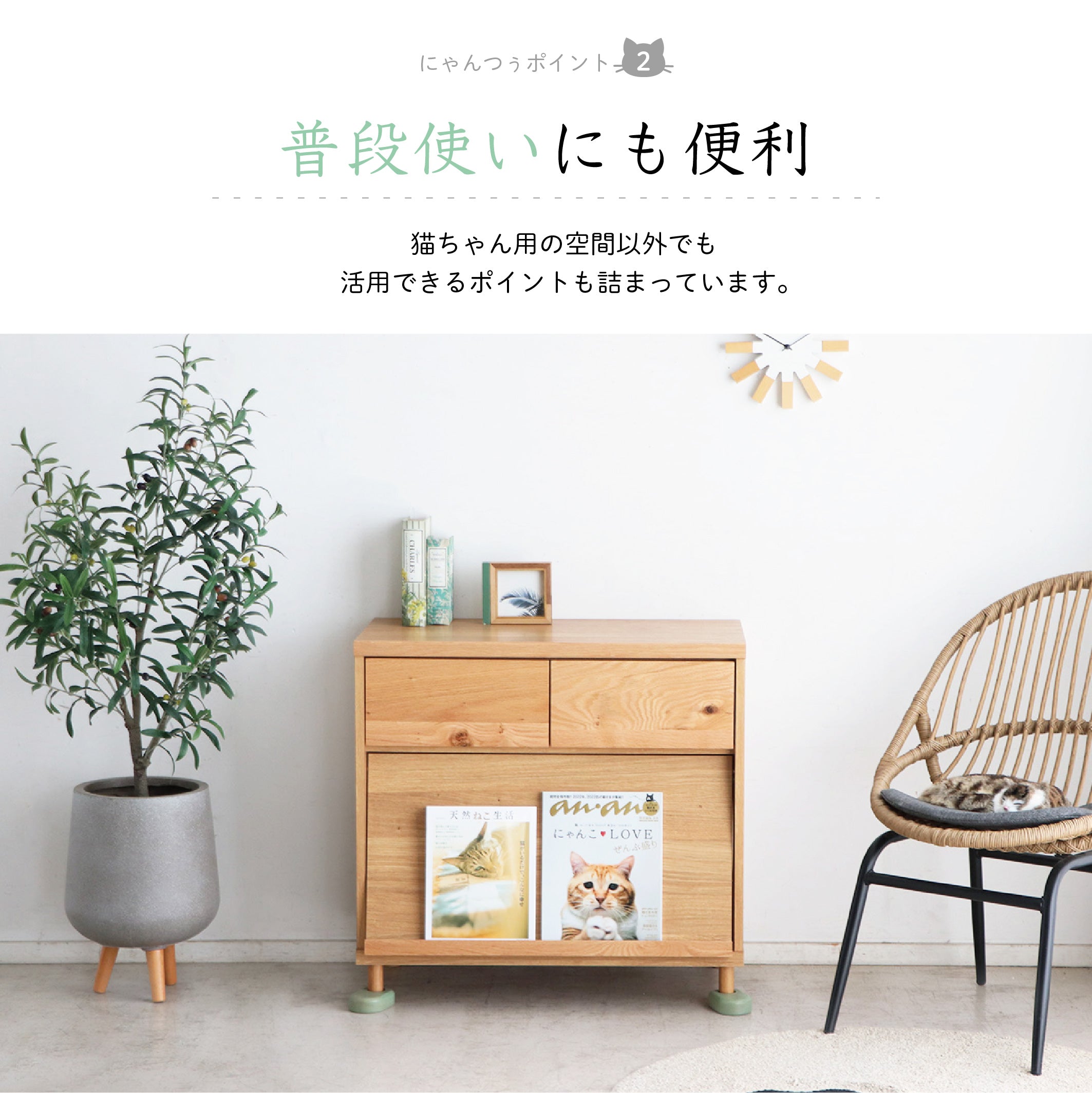 のぞきみ チェスト