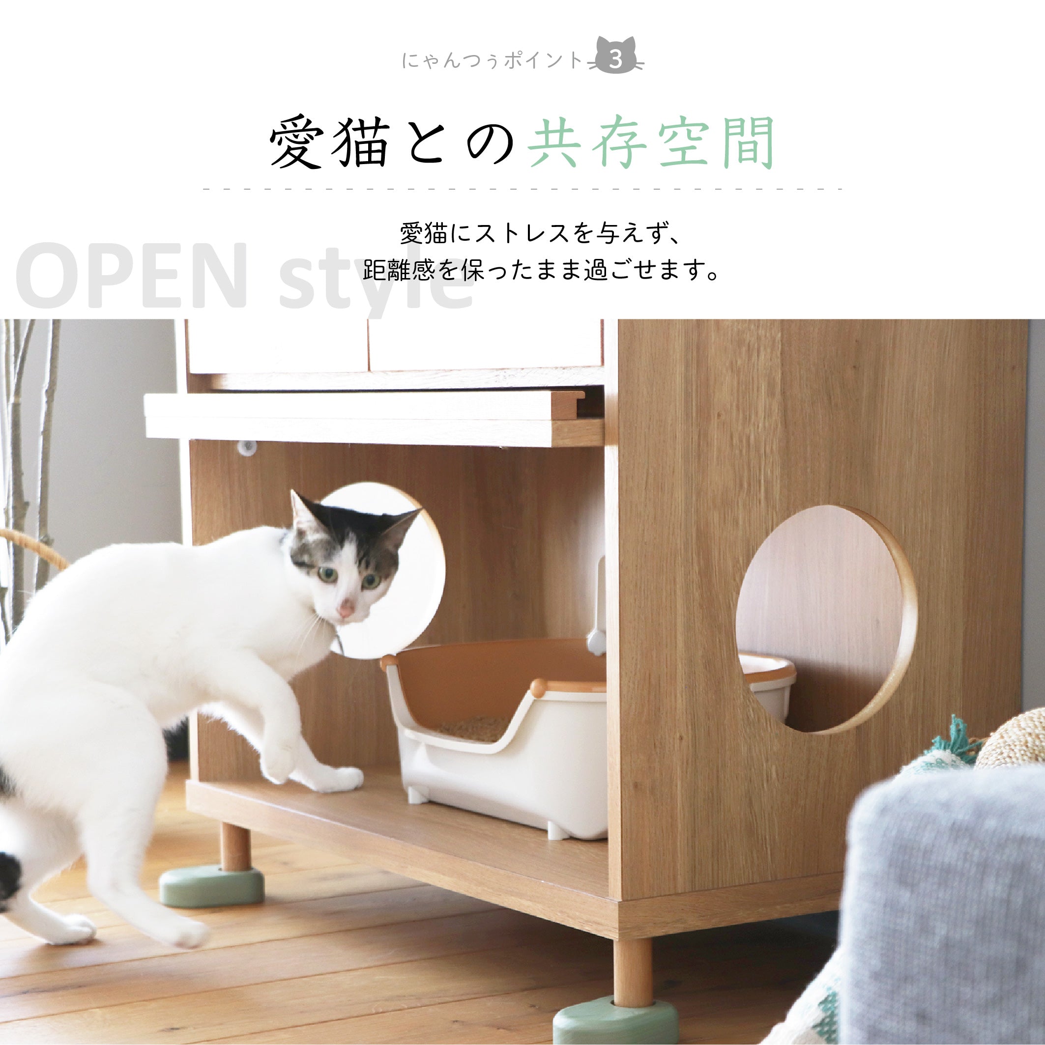 のぞきみ チェスト