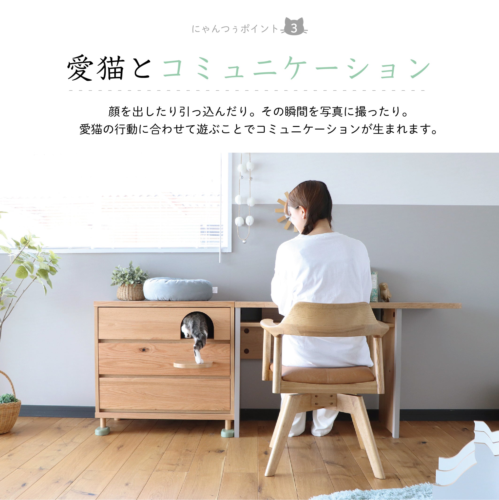 トンネル チェスト