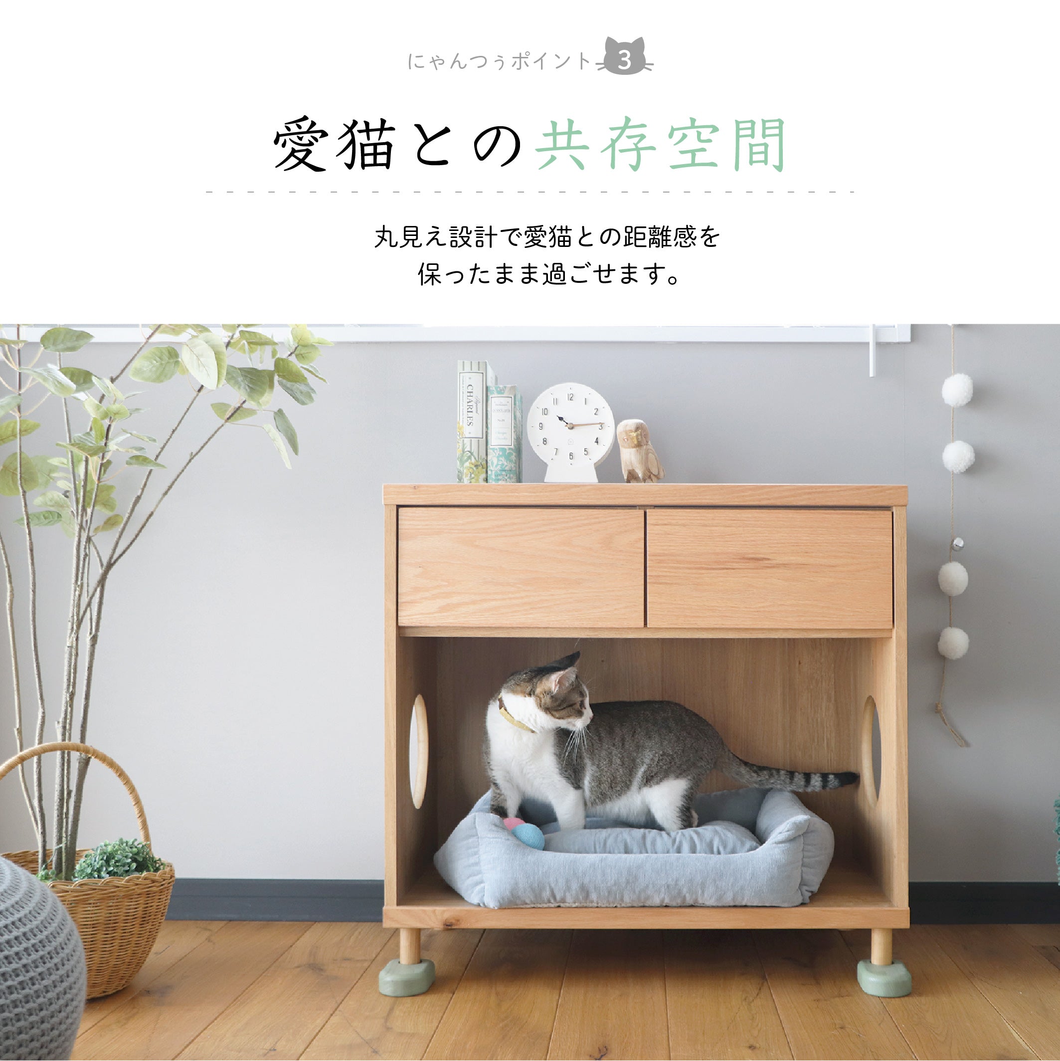 まるみえ チェスト