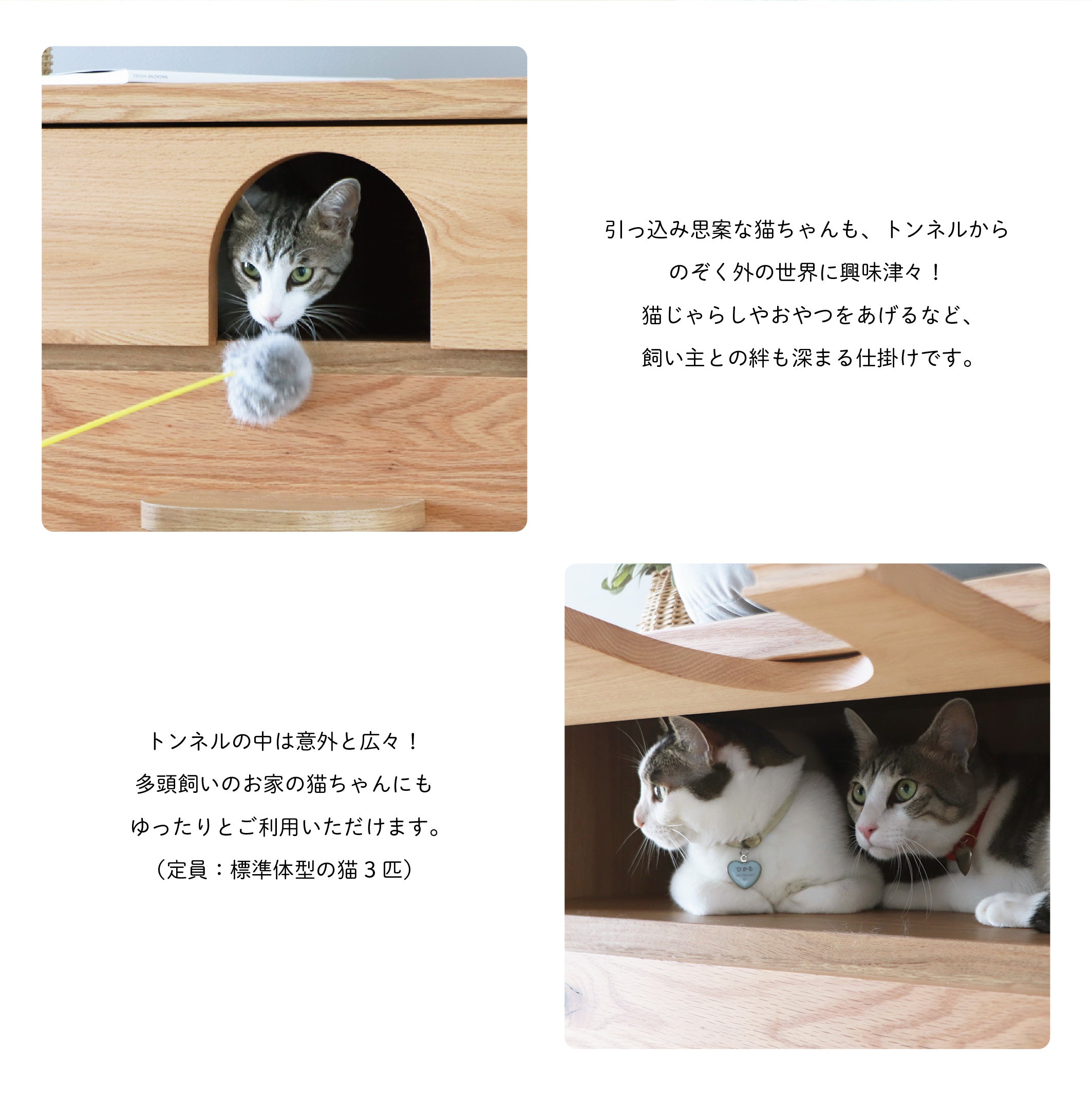 トンネル チェスト