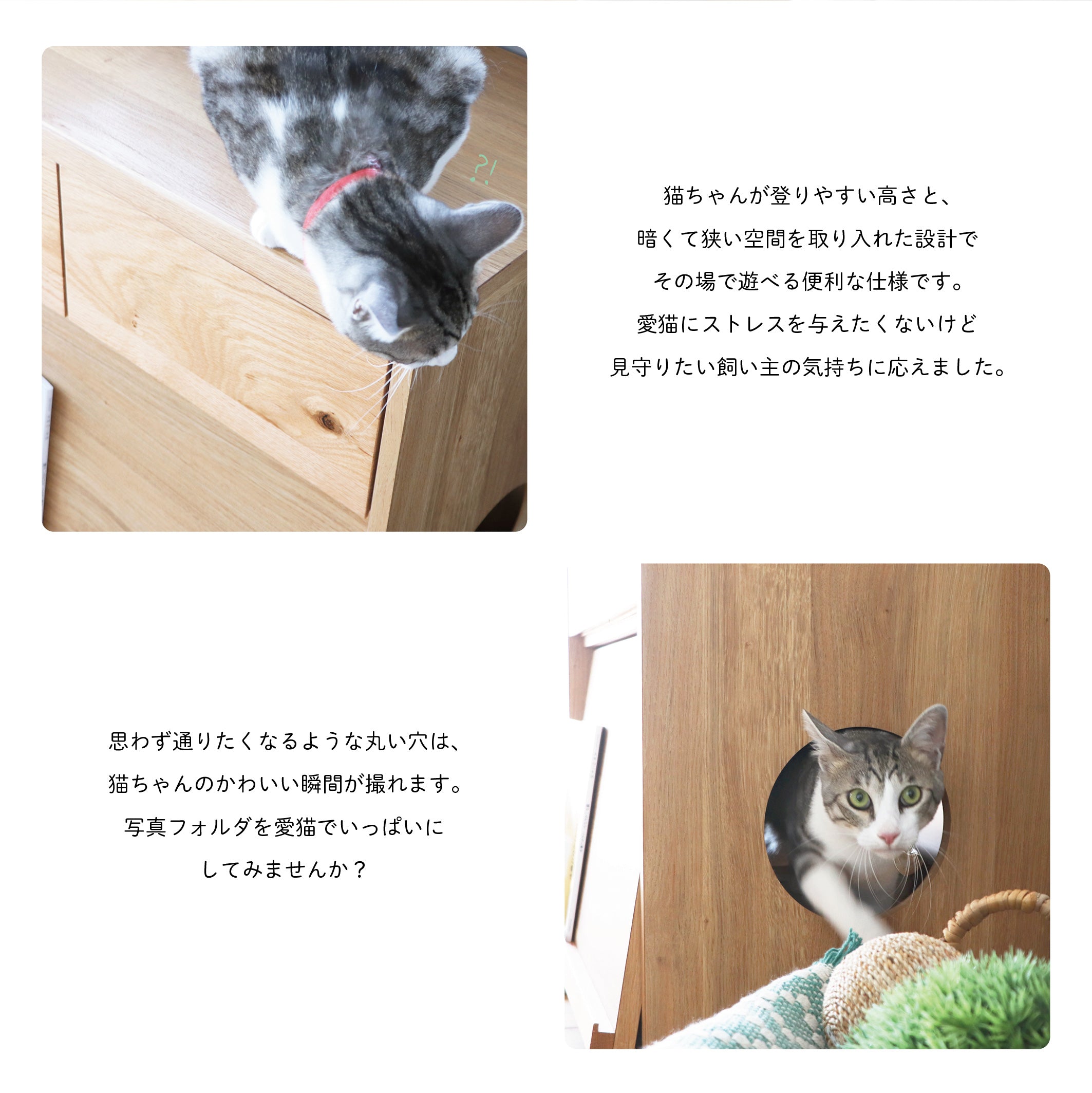 のぞきみ チェスト