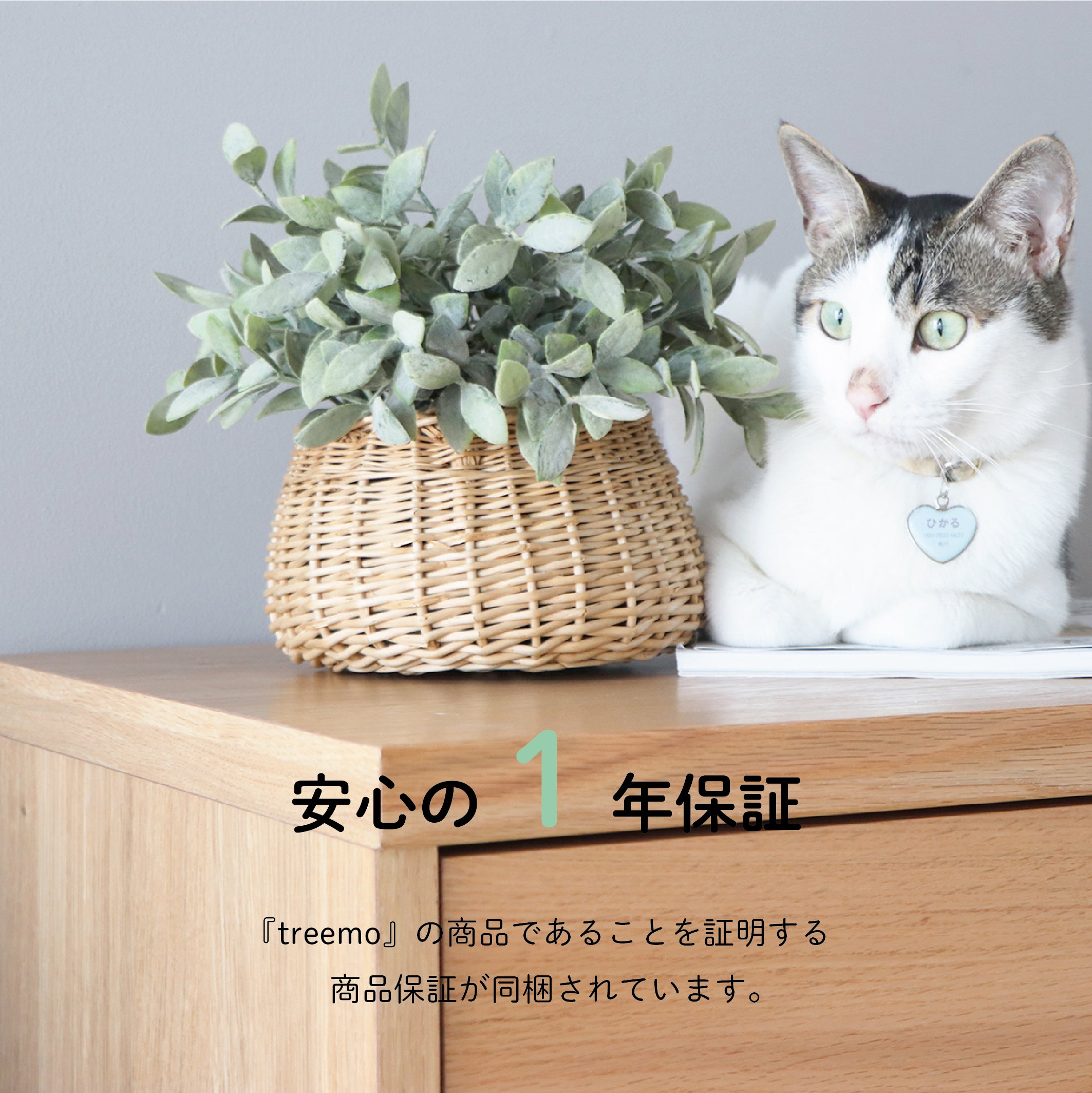 Hop Step チェスト