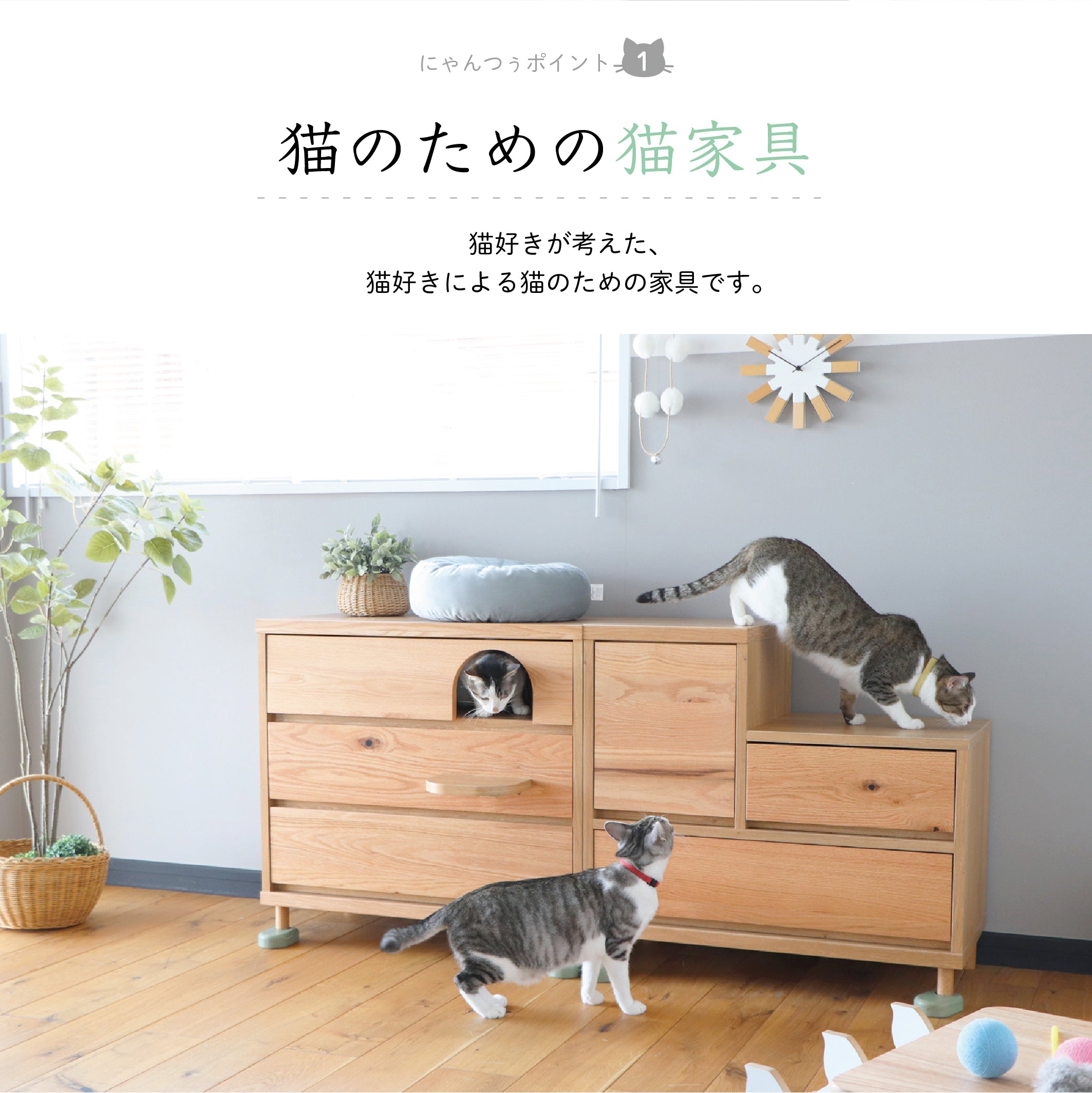 Hop Step チェスト