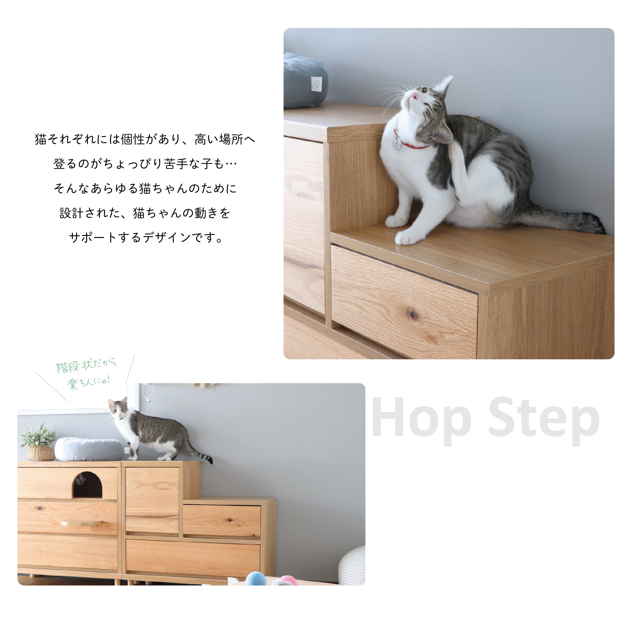Hop Step チェスト